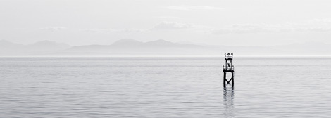 ddos压力测试网页端