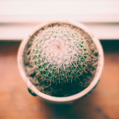 卡密代理批发的ddos网页端源码